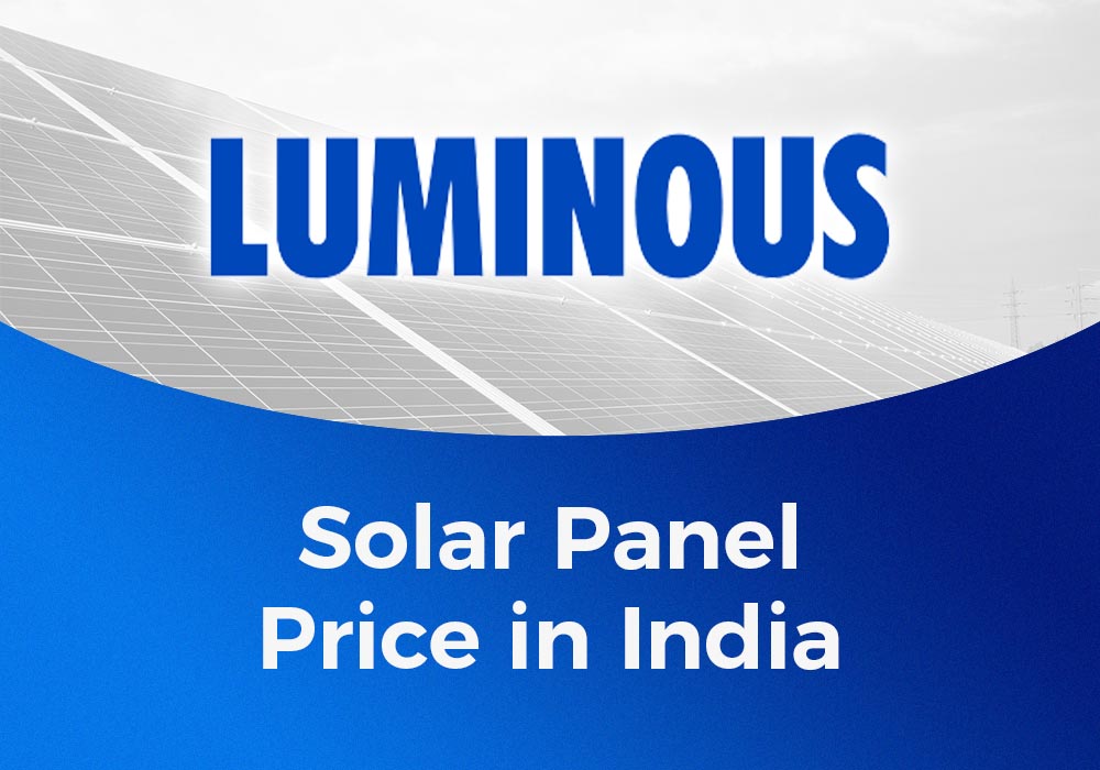 Waterman Expert Rollerball Pen